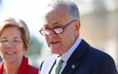 Democrats accuse Trump of ‘bribing’ Americans with $5k dividend