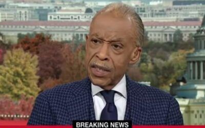 Al Sharpton Wastes No Time Blaming Trump For National Guard Shooting