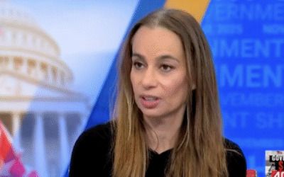 Dem strategist says Chuck Schumer is ‘no longer capable’ of leading democrats