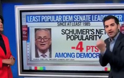 CNN’s Harry Enten runs through horrific numbers for Chuck Schumer