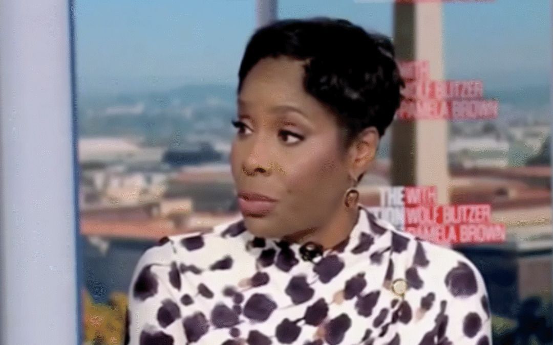 Epstein-tied Democrat delegate digs hole even deeper for herself
