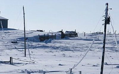 Will Texas grid survive looming winter storm?