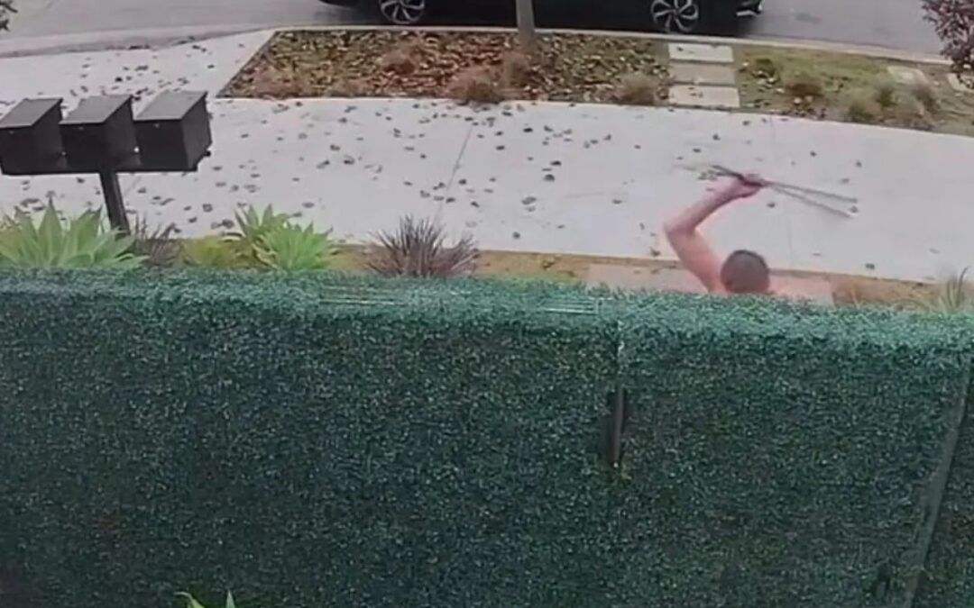 Lights out for naked intruder, Vietnam veteran shoots him dead; video
