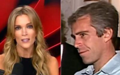 ‘What in the Hell?’ CNN stars rattled by Megyn Kelly’s Epstein’s ‘not a pedophile’ conclusion