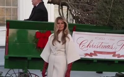 Holiday queen: Melania Trump shines as 25-foot tree rolls up to the White House