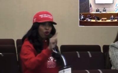 Black Chicago activist takes Brandon Johnson to the woodshed for his race-baiting political games