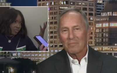 ‘That’s political jiu-jitsu’: Jeffrey Epstein announces donation to Jasmine Crockett