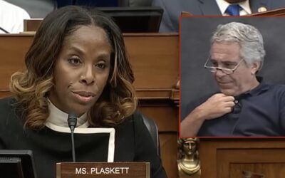House Oversight Dem was being ‘coached’ by Epstein via text during 2019 hearing: report