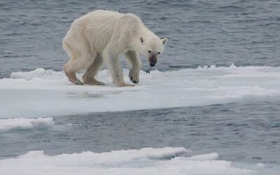 Climate doomsday prophecy peddled by academia is retracted in disgrace