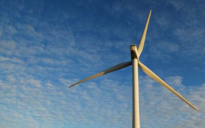 Clinton-appointed judge rules Trump cannot block new wind farms