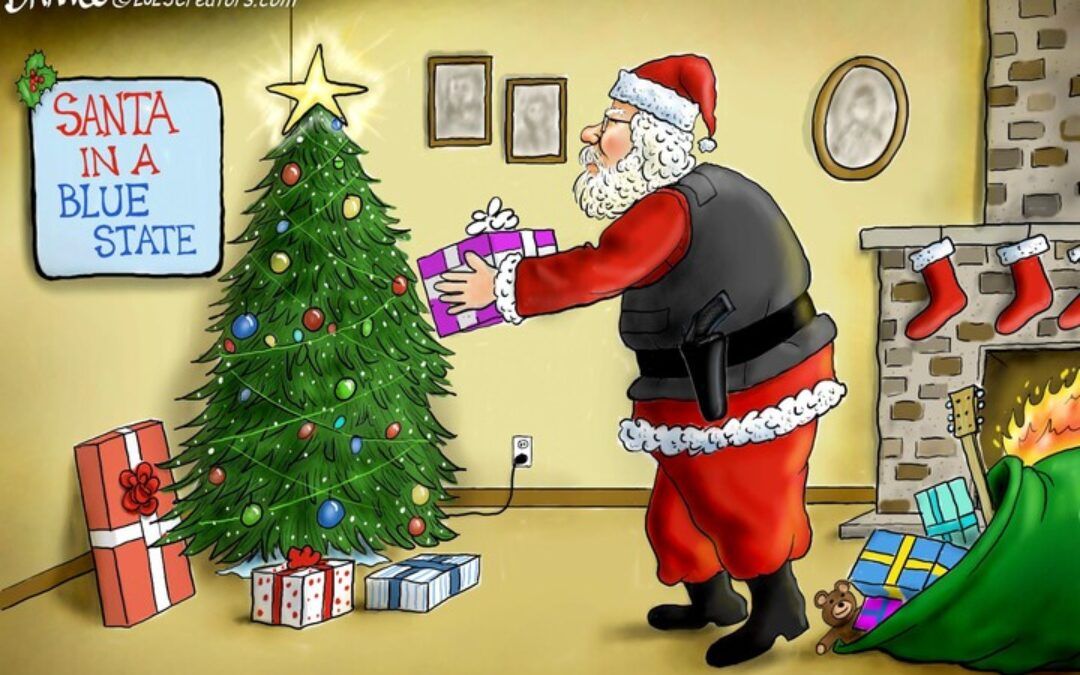 BS daily political cartoons: Santa in a blue state
