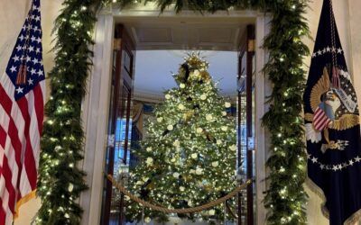 Michigan farms supply Christmas trees nationwide, including to the White House