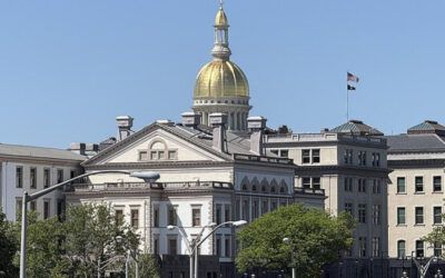 Blue State may have slipped up while defending its ammo ban