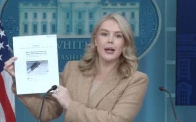Karoline Leavitt dropkicks reporter who wrote rosy story about Biden’s health, but questioned Trump’s fitness