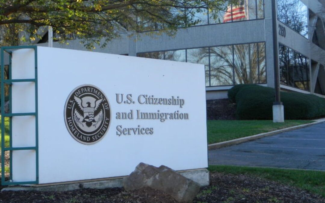 Trump admin places agents in Alex Prettis shooting on administrative leave