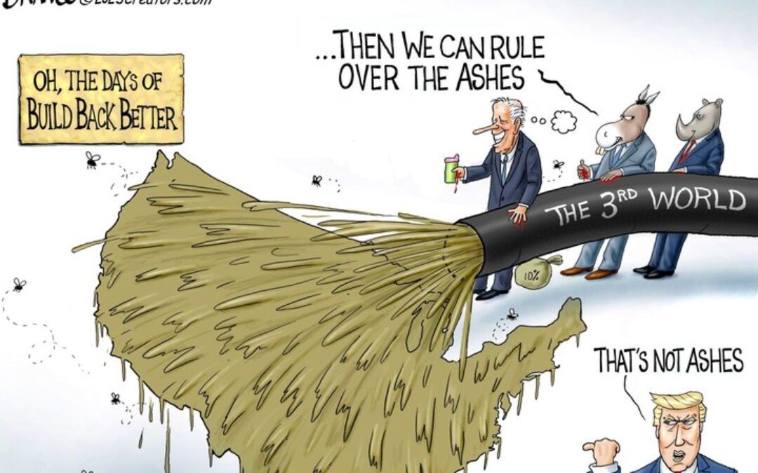 BS daily political cartoons: You used up all the glue