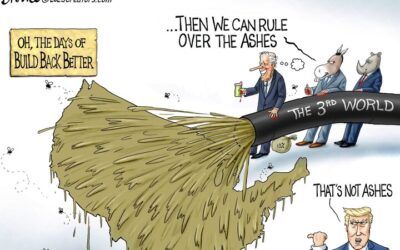 BS daily political cartoons: You used up all the glue