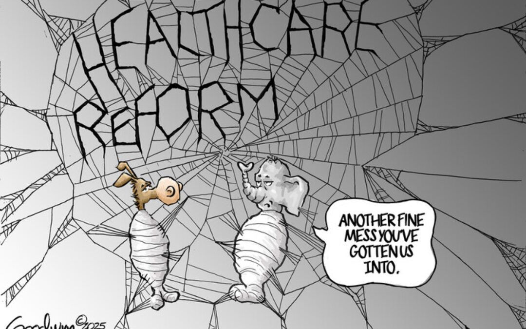 BS daily political cartoons: Another fine mess you’ve gotten us into…