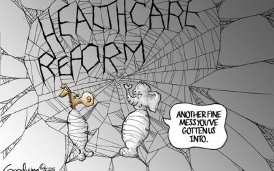 BS daily political cartoons: Another fine mess you’ve gotten us into…