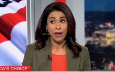 Democratic strategist makes admission about Aftyn Behn one day after election