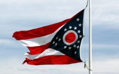Whistleblower warns massive Somali fraud happening in third state as cascade of exposure powers on