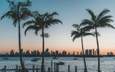 Florida property tax relief could hurt city services, study says