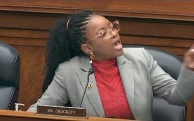 Senate Democrats keep Jasmine Crockett at bay with Texas-sized pole
