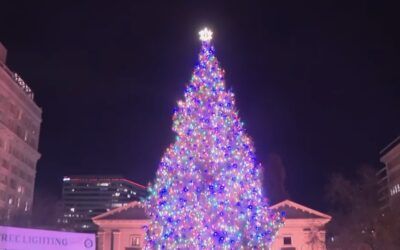 Portland lights a tree, but ‘Christmas’ was too offensive, so they raged ‘free Palestine’ instead