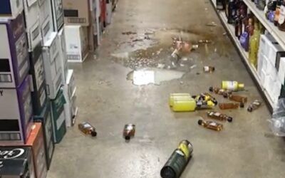 Boozed-up raccoon trashes liquor store, found blacked out near toilet!