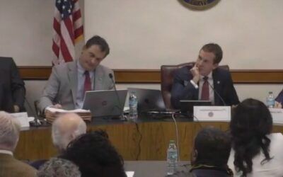 Fani’s freakout: Willis grilled by senate over bogus Trump case shouts ‘wasn’t me’ on repeat