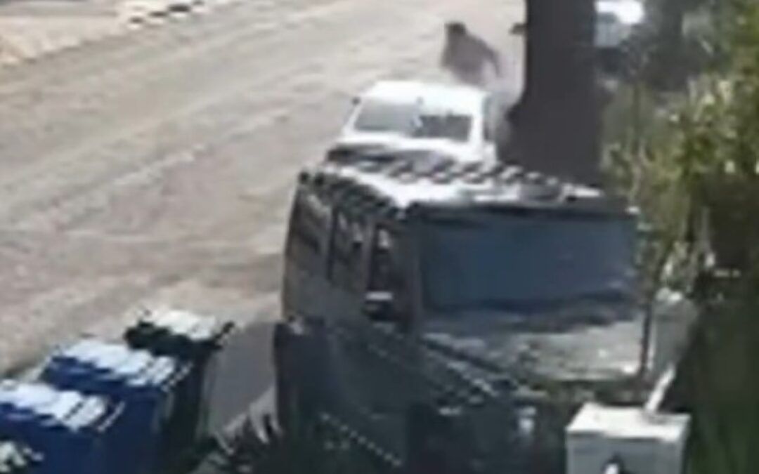 Bada** mom chases fleeing robbers, rams into them with her Mercedes G-wagon