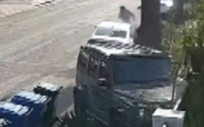 Bada** mom chases fleeing robbers, rams into them with her Mercedes G-wagon