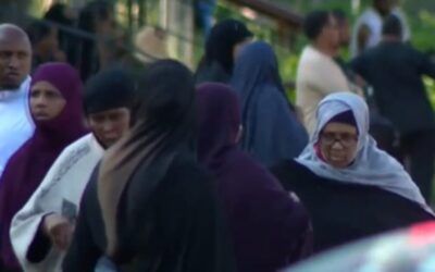‘Actually insane’: Minnesota media brutally set straight for touting Somali ‘contributions’