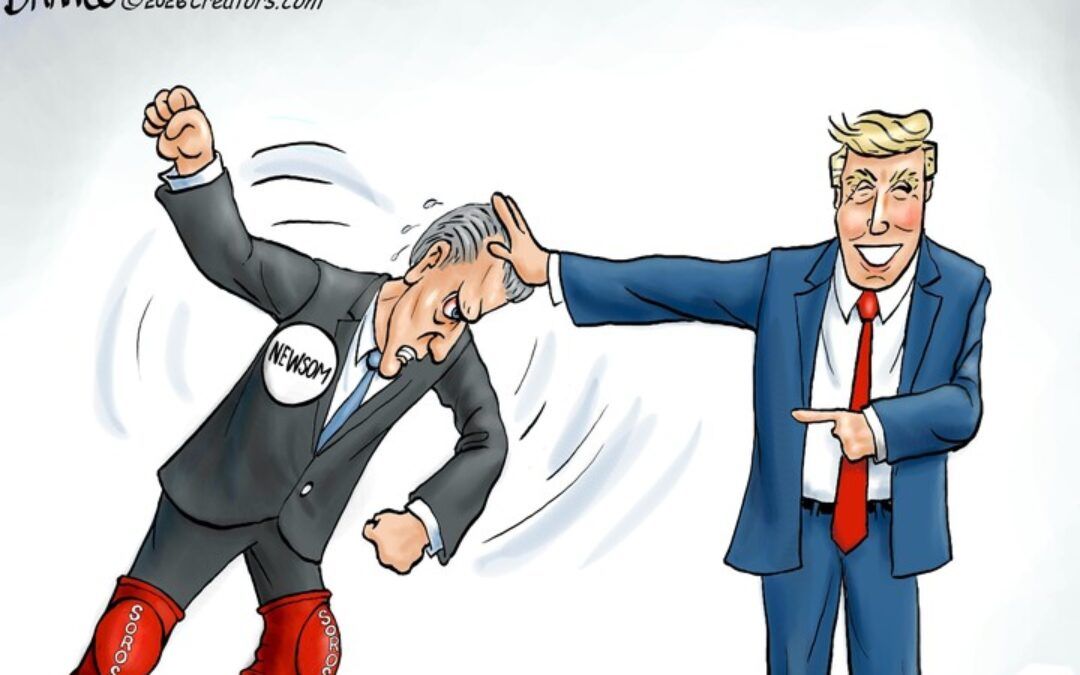 BS cartoons of the week: I thought it was a fill line
