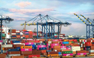 Republican lawmakers press Trump trade rep on tariff relief