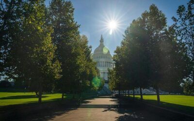 Federal funding bill decreases spending, limits firing power