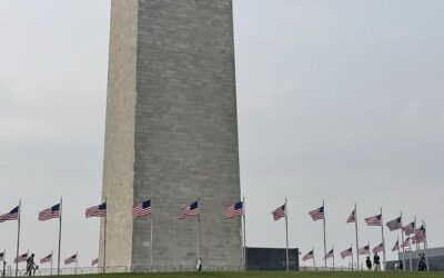 Advocates celebrate MLK Day, slam Trump administration