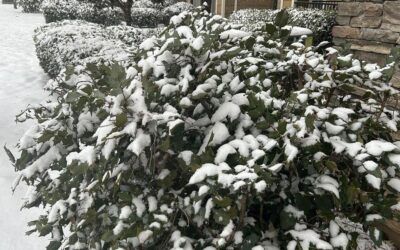 Nearly 1M without power as massive winter storm rages