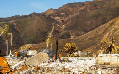 Trump floats 10% bonus for California rebuilders