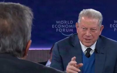 Al Gore wants to pay farmers to grow less food to fight climate change