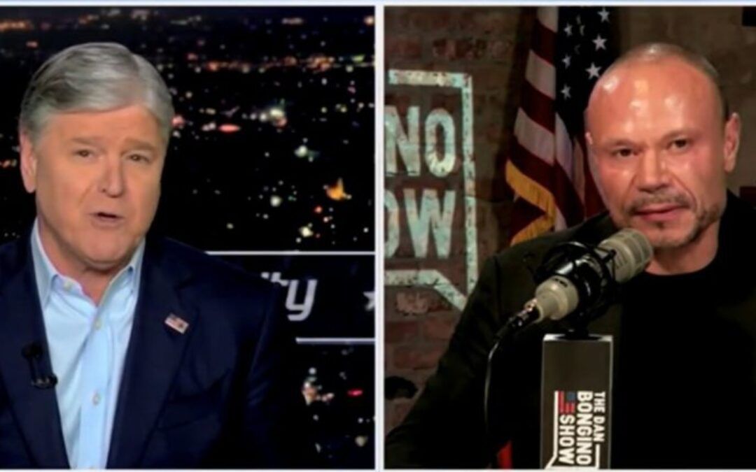 Dan Bongino tells Sean Hannity what he has in mind for ‘full-diaper’ media