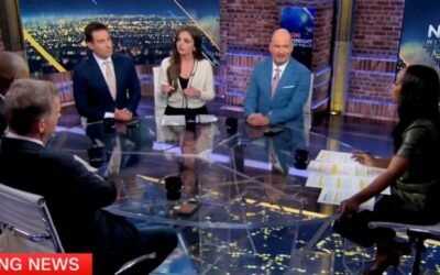 CNN panel turns into shouting match after far-left commentator compares ICE to Nazis
