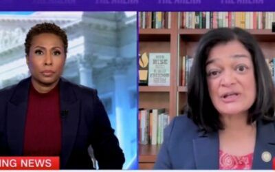 Democratic Rep. Pramila Jayapal claims nearly all protesters peaceful despite disruptions