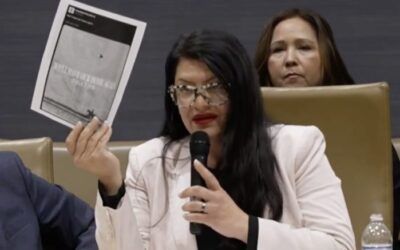 ‘As a muslima’: Rashida Tlaib blows gasket over ‘neo-Nazi’ DHS post of man riding horse