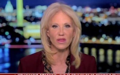 Kellyanne Conway describes another problem to derail GOP’s midterm chances