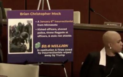 Democrat rep screams at top of her lungs as Somali fraud hearing descends into mayhem