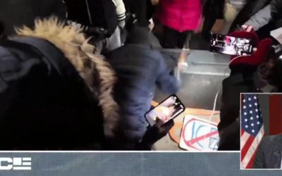 ‘Are you people really that stupid?’ Vince Coglianese mocks ‘low-IQ’ anti-ICE mob