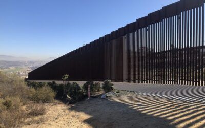 EXCLUSIVE: Powerful Conservative orgs think Trump needs to step up his deportation game