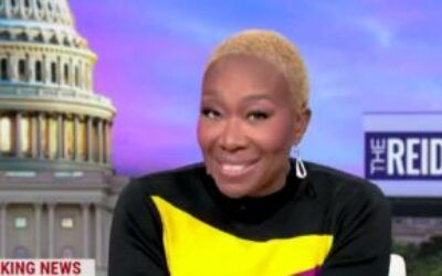 Joy Reid admits woman fatally shot in Minneapolis was ‘ICE interrupter’