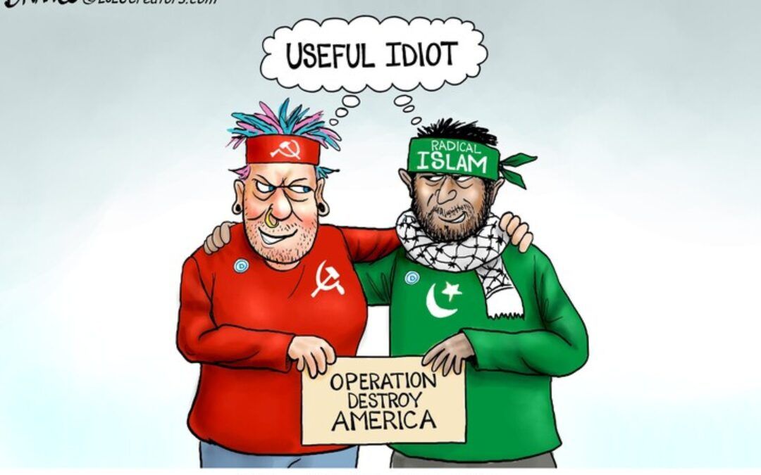 BS daily political cartoons: Operation destroy America